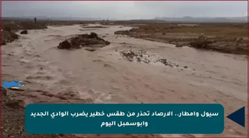سيول وأمطار.. الأرصاد تحذر من طقس خطير يضرب الوادي الجديد وأبوسمبل اليوم